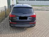 Audi SQ5 3.0 TDI tiptronic quattro - - Audi SQ5 in Braunschweig