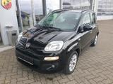 Fiat Panda Lounge - Fiat Panda: Schwarz