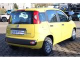 Fiat Pandina PANDA ICON HYBRID 1.0 GSE 65PS PDC RADIO - Fiat von 2026