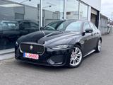 Jaguar XE R-Dynamic S Pano/LED/Digital/360° - Jaguar XE aus 2021