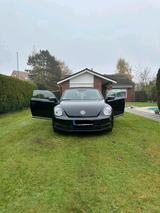 Other Volkswagen Beetle - Other mit Benzin-Antrieb: Cabrio
