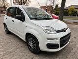 Fiat New Panda 1.2 8V EASY - weiße Fiat New Panda