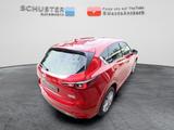 Mazda CX-5 Takumi 2.2l 4WD Automatik BOSE/Leder/360°/M - Mazda CX-5: Takumi