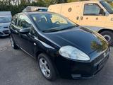 Fiat Punto 1.4 8V Active Active - Fiat Punto aus 2008: 1.4