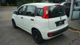 Fiat Panda Pop 1.2 Klima-Servo-Euro 6 Tüv neu - Fiat Panda Gebrauchtwagen in Düsseldorf