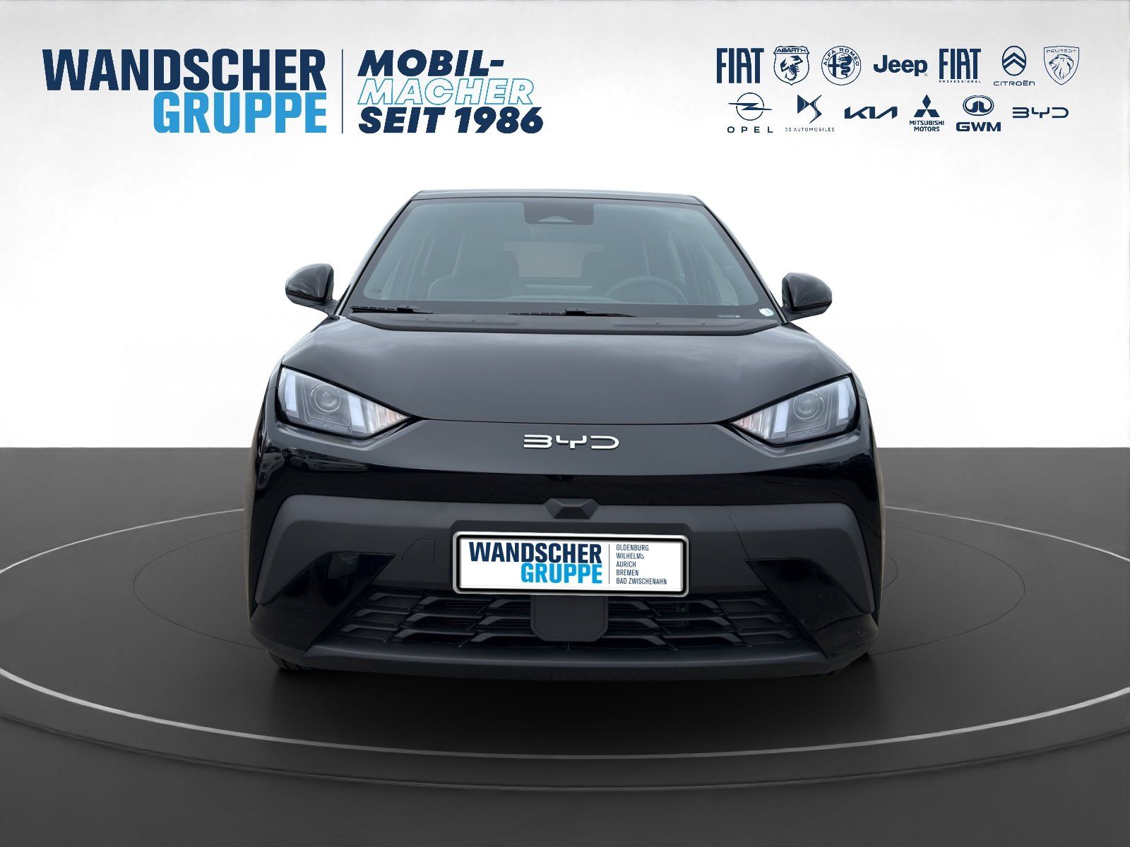 BYD DOLPHIN SURF