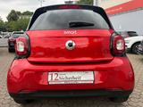 Smart ForFour forfour*Klima*Tempomat*Faltdach* - Smart ForFour Gebrauchtwagen