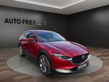 Mazda CX-30 Selection SKYACTIV-X BOSE DES-P ACT-P LED - Mazda CX-30 aus 2019