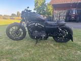 Harley-Davidson Sportster 883 XL  - HARLEY-DAVIDSON 883