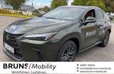 Lexus NX 350h Executive Line - Lexus NX 350h Gebrauchtwagen