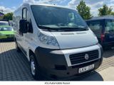 Fiat Ducato Kastenwagen TÜV u. Inspektion Neu - Fiat Ducato: Kastenwagen