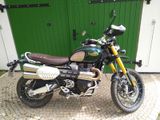 Triumph Scrambler 1200 Steve McQueen Edition - Angebote entsprechen deinen Suchkriterien