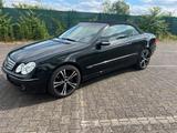Mercedes-Benz Mercedes CLK 200 LPG  Gasanlage Prins - Mercedes-Benz: Gasanlage