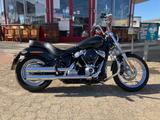 Harley-Davidson Softail Standard - Offers
