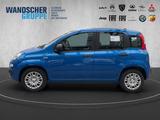 Fiat Panda MY25-Pandina ICON Hybrid 1.0 GSE Tempomat - Fiat Panda Gebrauchtwagen in Bremen