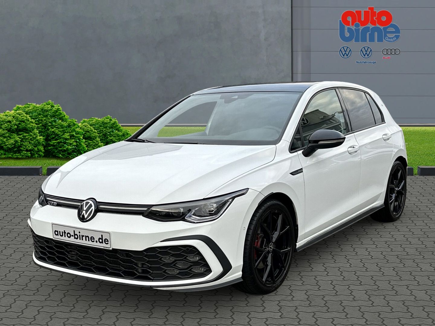 Golf VIII GTD 2.0 TDI StandHZG  AHK-klappbar El.