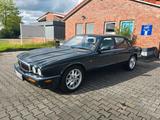 Jaguar 1998 Jaguar XJ8 4.0 V8 Executive Sprucegre... - Jaguar XJ8: Jag