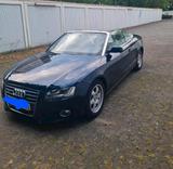 Audi caprio Audi A5 - Caprio gebraucht