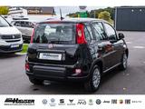 Fiat Panda Hybrid 1.0 GSE NEUES MODELL 2024 CITY TEMP - Fiat Panda: 2.1