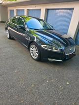 Jaguar XF 3.0d Facelift 8-Gang - Jaguar XF in Bremen