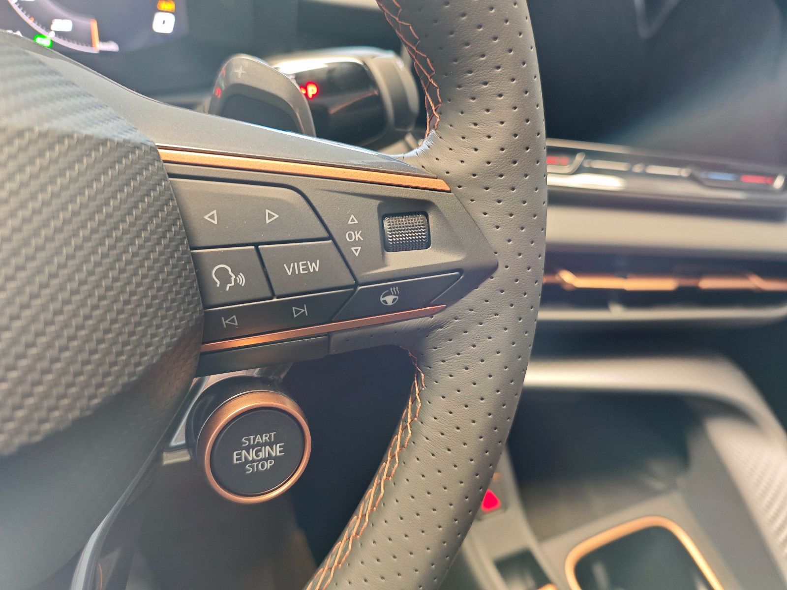 Cupra Terramar - Bild 11