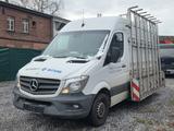 Mercedes-Benz Sprinter210CDI L2 H3 GLASTRANSPORTER - Geländestapler