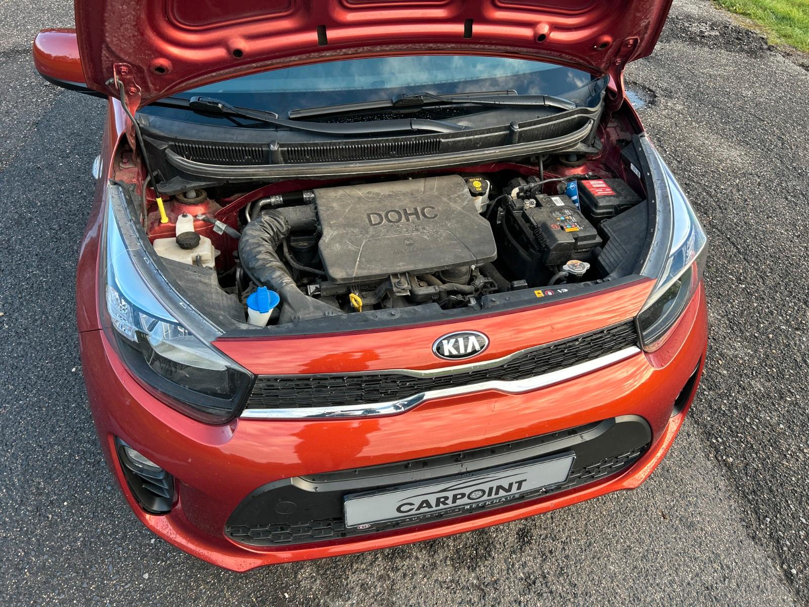 Kia Picanto 1.2 Dream Team Klima Navi Sitzheizung