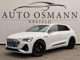 Audi e-tron 50 quattro S line / Night Vision / ACC - weiße Audi e-tron
