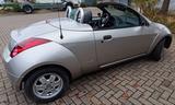 Ford Streetka Cabrio Leder, TÜV 01/2027 - gebrauchte Ford Streetka aus dem Jahr 2003