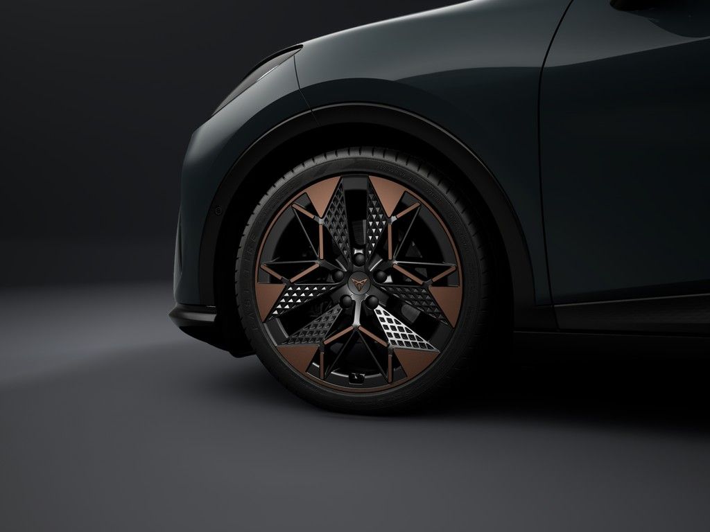 Cupra Andere - Bild 6