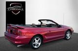 Ford Mustang SVT COBRA Cab Convertible 309HP MACH - Ford Mustang Mach mit Benzin-Antrieb