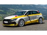 Audi RS3 Heritage Edition ''1 of 3'' (460 PS) SB qu A - Audi RS3 Edition Gebrauchtwagen