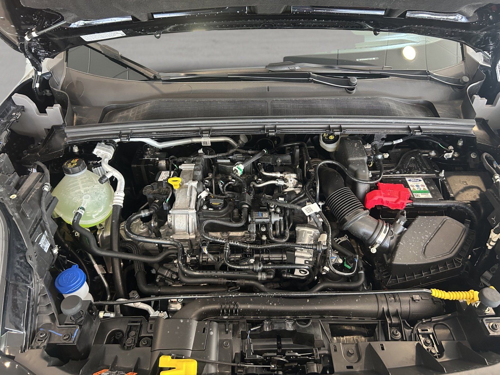 Fahrzeugabbildung Ford Puma 1,0 ST Line Automatik,FGS 3/5 Jahr