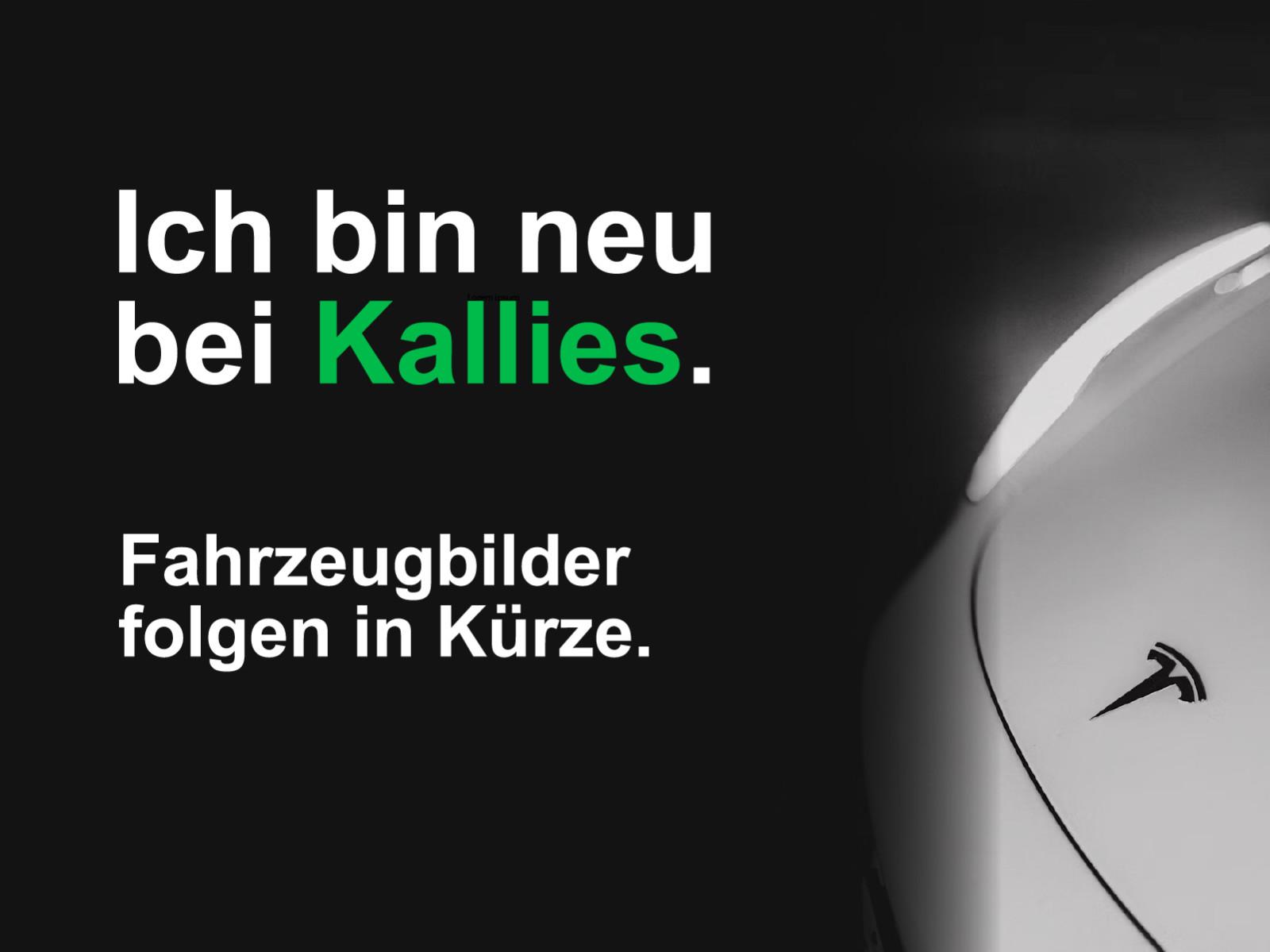 Tesla Model 3 RWD 19"+91.2% SoH+TÜV-NEU