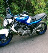 Suzuki Gladius SV650 - Angebote entsprechen deinen Suchkriterien