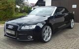 Audi A5 Cabriolet 3.0 TDI quattro - Audi A5: Cabrio
