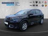 Citroën C5 Aircross Live Pack 1.5 BlueHDi 130 2xKlima - Citroën in Oldenburg