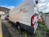 Fiat Ducato*Maxi*Grossr.-Kasten*L5H2*Kamera*AHK*6Gang - Fiat Ducato in Oberhausen