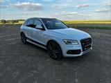 Audi SQ5 3.0 TDI competition tiptronic quattro - - weiße Audi SQ5