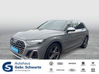 Audi SQ5 - Vorschau Bild 1