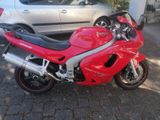 Triumph sprint 955i sehr guter Zustand - TRIUMPH SPRINT 955I