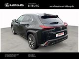 Lexus UX 250h F Sport Design 15 Jahre Lexus Relax Gara - Lexus UX: F Sport Design