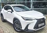 Lexus NX 350h E-FOUR Executive Line*Technologie-Paket* - weiße Lexus NX-Serie