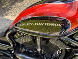 Harley-Davidson Night Rod Special VRSCDX - Offers matching your search criteria