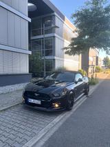 Ford Mustang GT 5.0 V8 EU Sport AGA Asch Motorsport - Ford: Sport