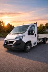 Fiat Ducato Pritsche Lang L4 EZ 2019 Erstb... - Fiat Ducato: Lang