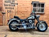 Harley-Davidson Fat Boy, Fatboy Vergaser - Angebote