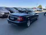 Mercedes-Benz CLK 500 (209) Avantgarde AMG Cabrio Harman Cardo - Mercedes-Benz A 209