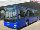 MAN LION'S CITY / A78 - MAN Betonmischer