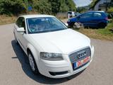 Audi A3 1.6 Attraction, TÜV04/27, SHZ, KLIMA, 176TKM - Audi A3 mit Benzin-Antrieb: 1.6
